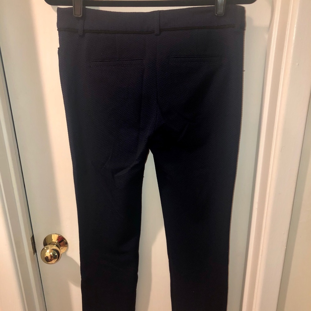 Express columnist navy pant